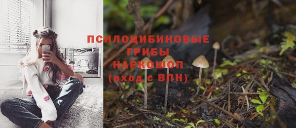 гидра Балахна