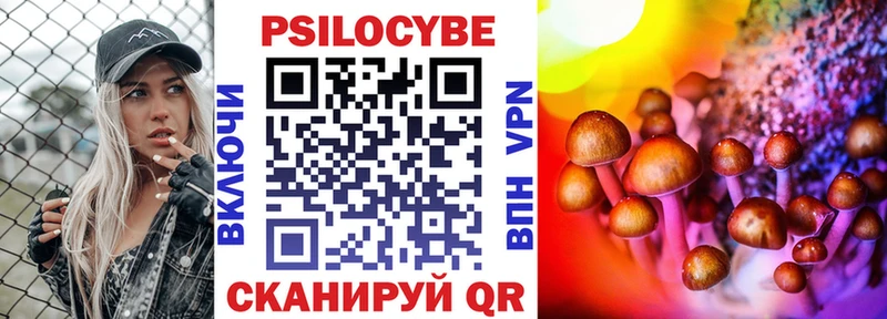 Галлюциногенные грибы Psilocybe  Данилов 